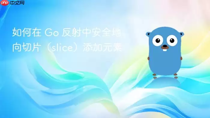 如何在 Go 反射中安全地向切片（slice）添加元素