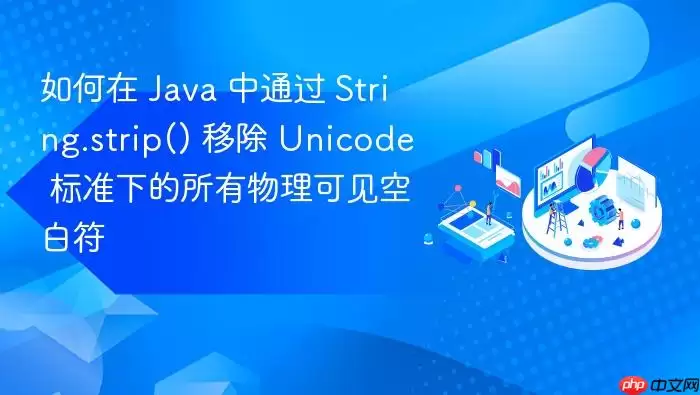 如何在 Java 中通过 String.strip() 移除 Unicode 标准下的所有物理可见空白符