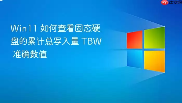 Win11 如何查看固态硬盘的累计总写入量 TBW 准确数值