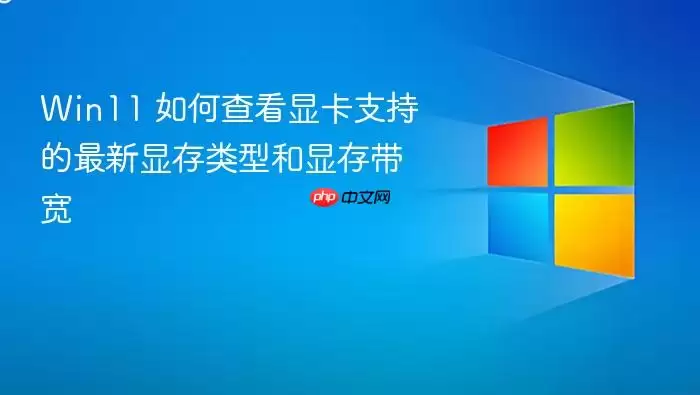 Win11 如何查看显卡支持的最新显存类型和显存带宽