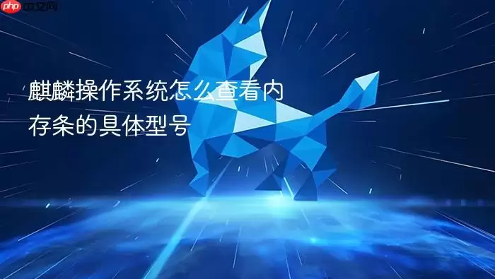 麒麟操作系统怎么查看内存条的具体型号