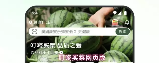 叮咚买菜网页版