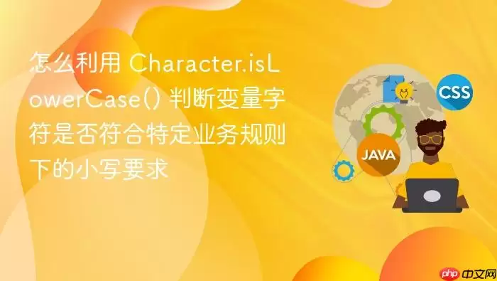 怎么利用 Character.isLowerCase() 判断变量字符是否符合特定业务规则下的小写要求