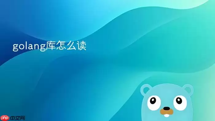 golang库怎么读