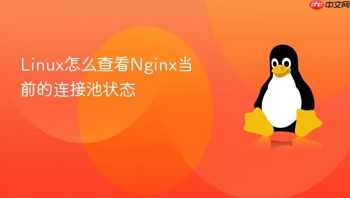 Linux怎么查看Nginx当前的连接池状态