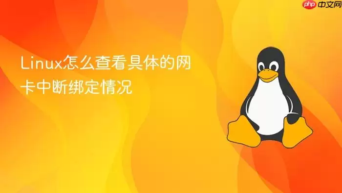 Linux怎么查看具体的网卡中断绑定情况