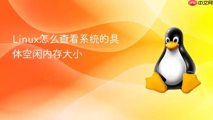 Linux怎么查看系统的具体空闲内存大小