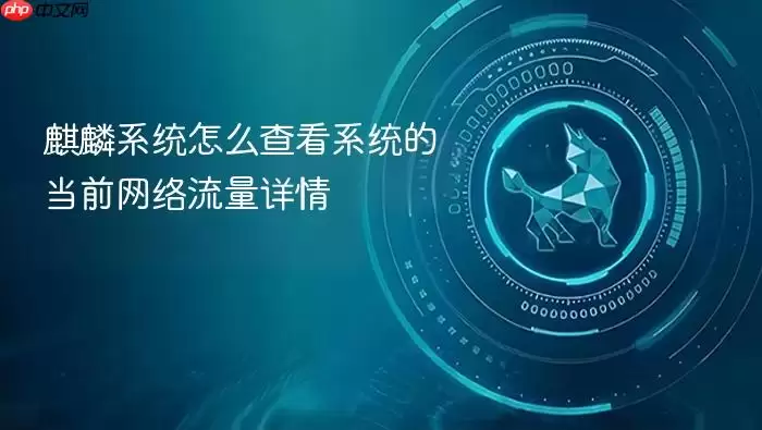 麒麟系统怎么查看系统的当前网络流量详情
