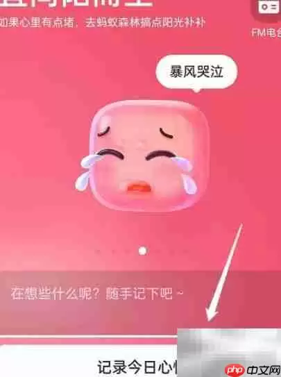 支付宝地下室心情记录指南