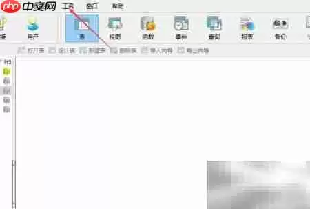 Na vicat显示TEXT/BLOB字段技巧