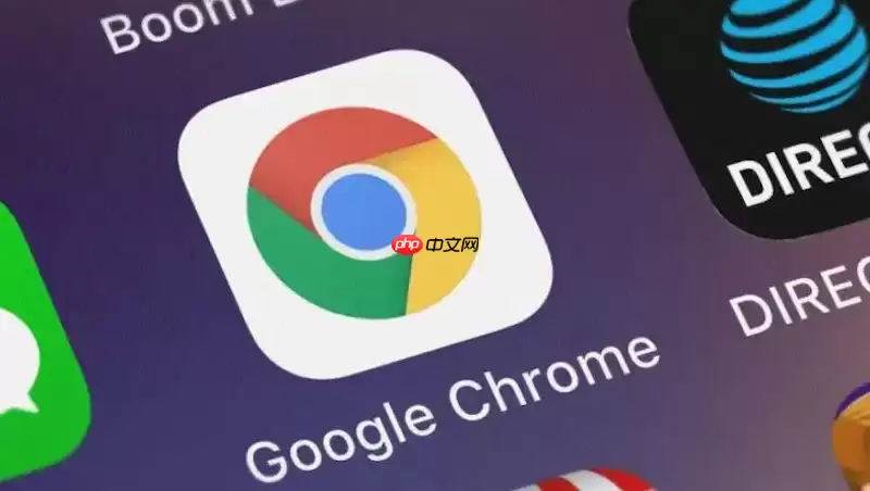 Chrome 扩展安装报错示意