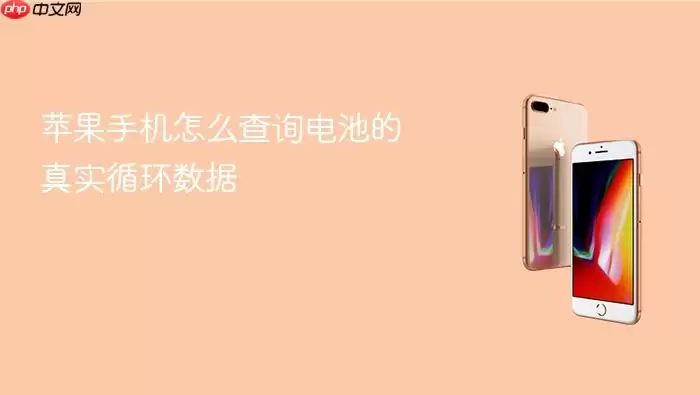 苹果手机怎么查询电池的真实循环数据
