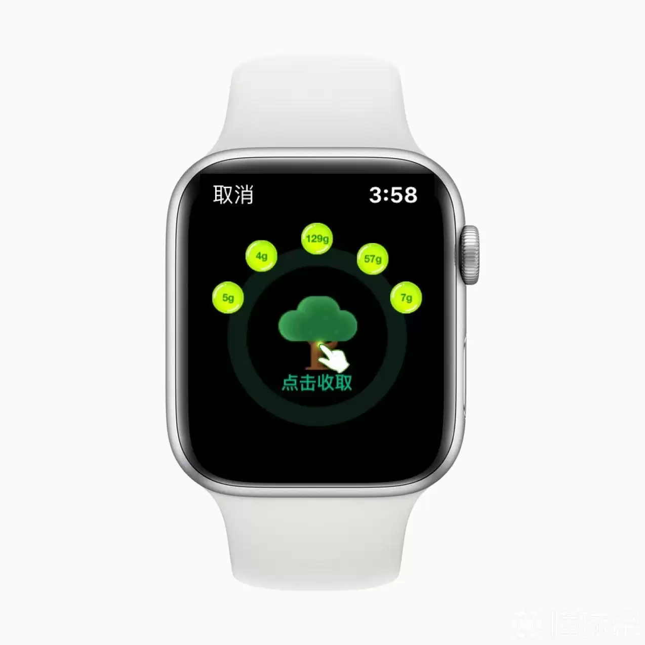 Apple Watch 支付宝新功能:“一键收取”蚂蚁森林能量 Apple Watch 支付宝新功能:“一键收取”蚂蚁森林能量
