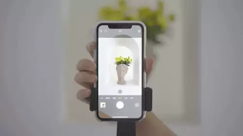 iOS14相机功能有哪些升级?升iOS14后拍照更好了吗? iOS14相机功能有哪些升级?升iOS14后拍照更好了吗?