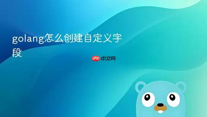golang怎么创建自定义字段