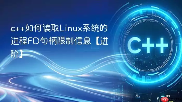 c++如何读取Linux系统的进程FD句柄限制信息【进阶】