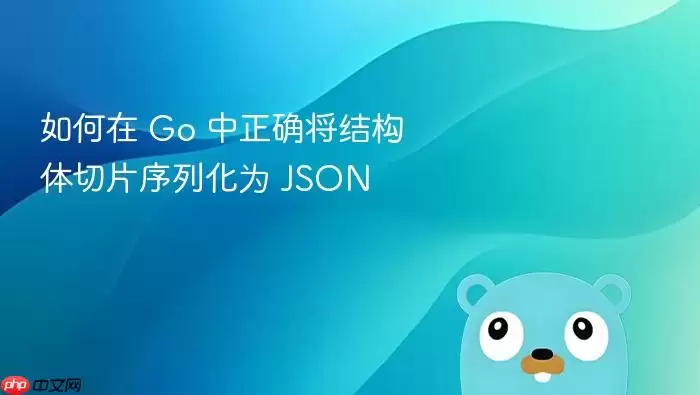 如何在 Go 中正确将结构体切片序列化为 JSON