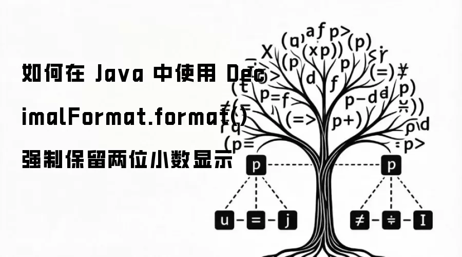 如何在 Java 中使用 DecimalFormat.format() 强制保留两位小数显示