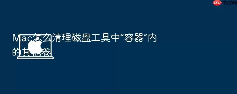 Mac怎么清理磁盘工具中“容器”内的其他卷