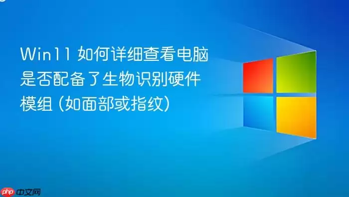Win11 如何详细查看电脑是否配备了生物识别硬件模组 (如面部或指纹)