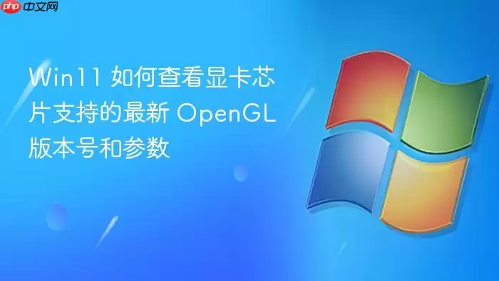 Win11 如何查看显卡芯片支持的最新 OpenGL 版本号和参数