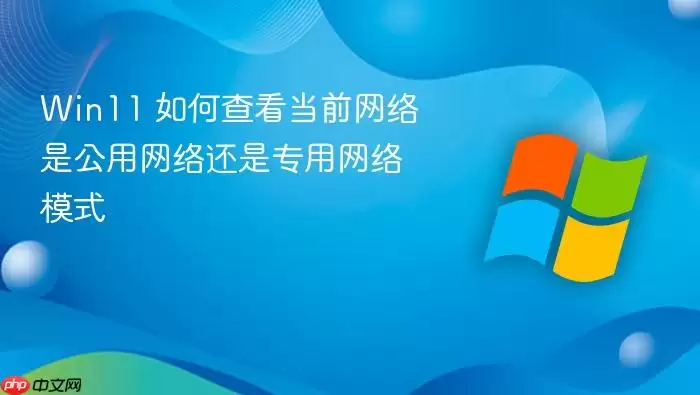 Win11 如何查看当前网络是公用网络还是专用网络模式