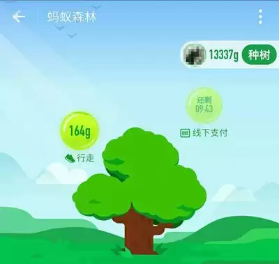 支付宝AI版如何查看蚂蚁森林能量收集-支付宝AI版怎样查看蚂蚁森林能量收集