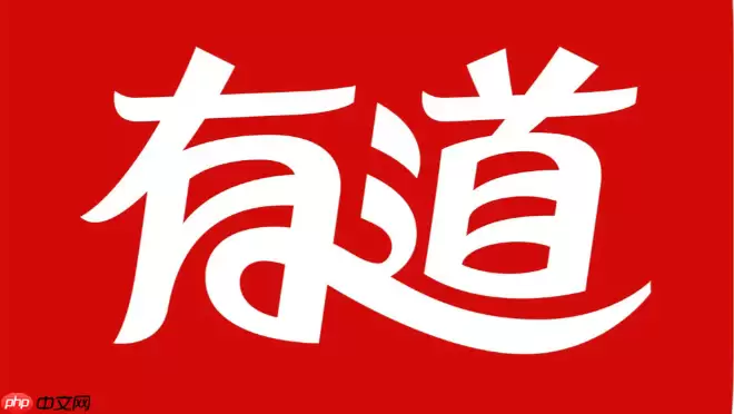 有道在线翻译网页端 有道在线翻译中文英文转换