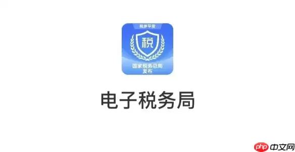 重庆电子税务局怎么申报个税？个人所得税申报操作指南