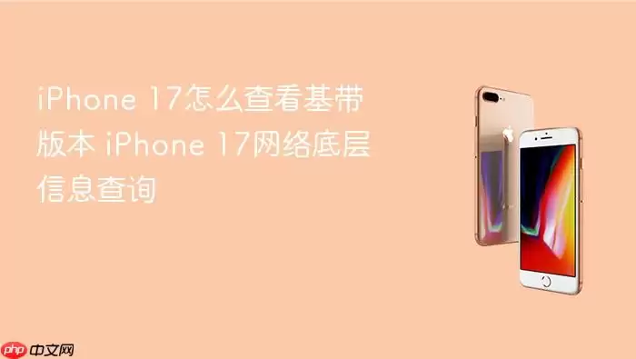 iPhone 17怎么查看基带版本 iPhone 17网络底层信息查询