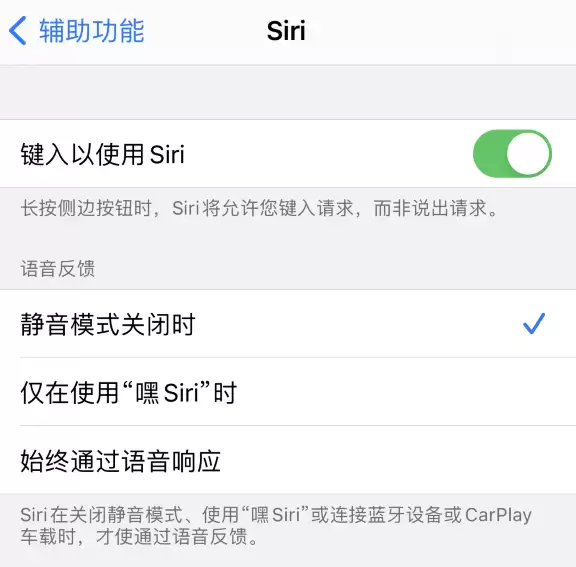 在 iPhone 12 上使用 Siri 的一些小技巧 在 iPhone 12 上使用 Siri 的一些小技巧