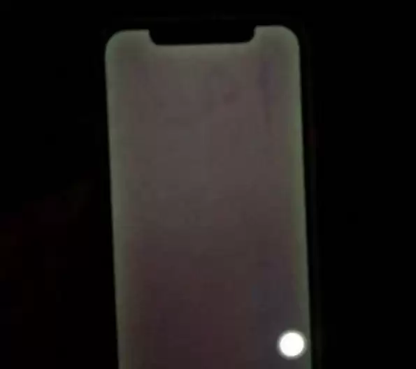 苹果客服回应 iPhone 12 屏幕“发绿”问题:后续更新系统解决 苹果客服回应 iPhone 12 屏幕“发绿”问题:后续更新系统解决