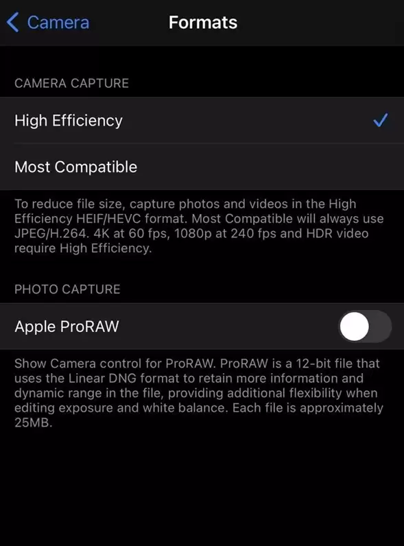 如何为 iPhone 12 Pro/Max 启用 ProRAW 照片格式? 如何为 iPhone 12 Pro/Max 启用 ProRAW 照片格式?