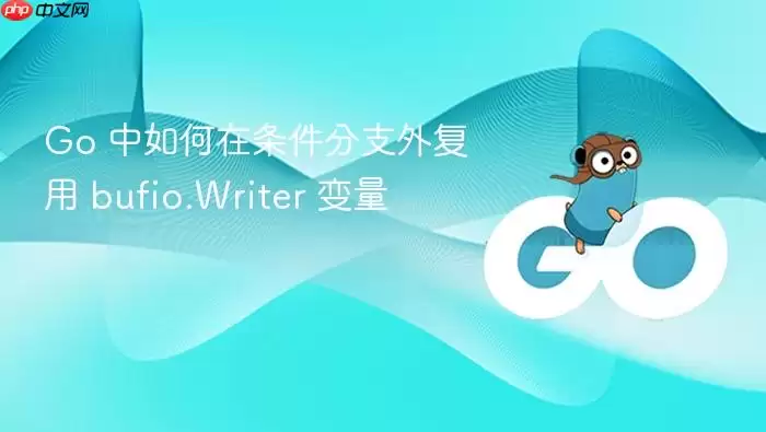 Go 中如何在条件分支外复用 bufio.Writer 变量