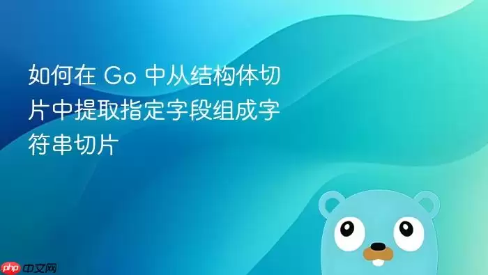 如何在 Go 中从结构体切片中提取指定字段组成字符串切片