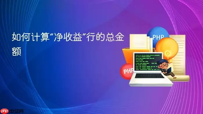 如何计算“净收益”行的总金额