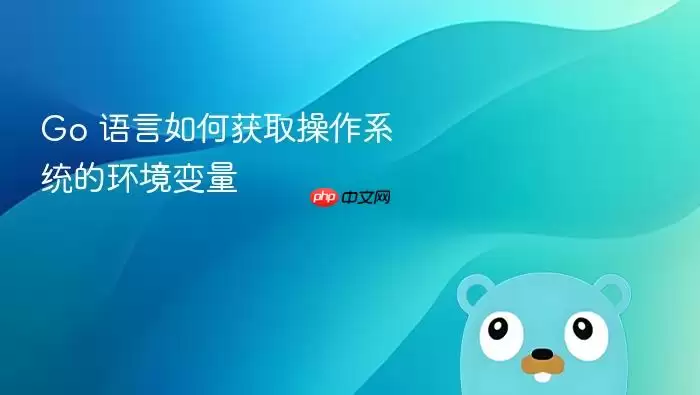 Go 语言如何获取操作系统的环境变量