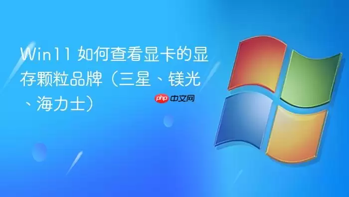 Win11 如何查看显卡的显存颗粒品牌（三星、镁光、海力士）