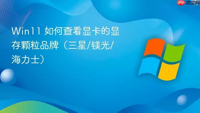 Win11 如何查看显卡的显存颗粒品牌（三星/镁光/海力士）