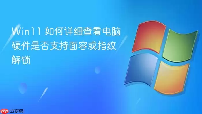 Win11 如何详细查看电脑硬件是否支持面容或指纹解锁