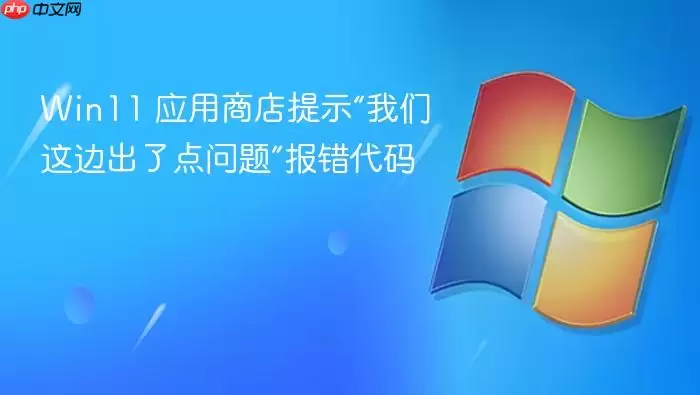 Win11 应用商店提示“我们这边出了点问题”报错代码