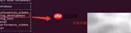 Rails迁移入门