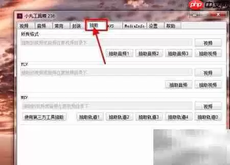 小丸工具箱无损转MP4技巧