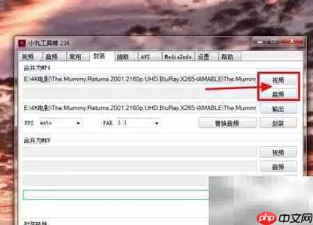 小丸工具箱无损转MP4技巧