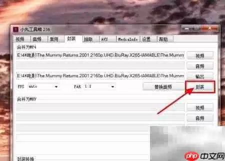 小丸工具箱无损转MP4技巧