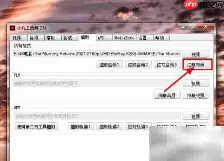 小丸工具箱无损转MP4技巧