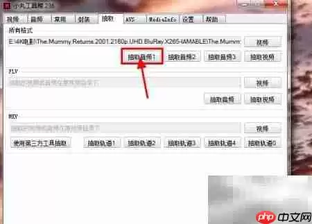 小丸工具箱无损转MP4技巧