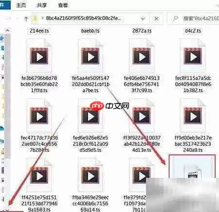 TS文件合并转MP4