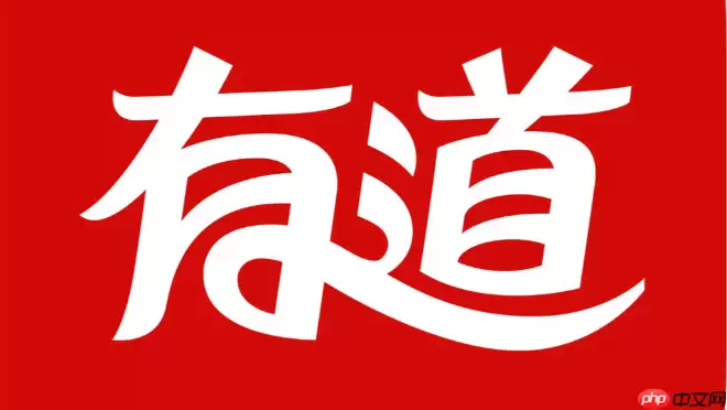 有道词典中英互译网页版 有道词典官网在线翻译