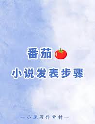 番茄免费小说如何写小说